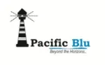 BLU logo
