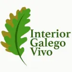 vivo logo