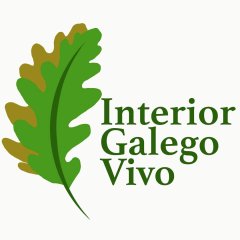 vivo logo